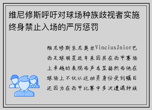 维尼修斯呼吁对球场种族歧视者实施终身禁止入场的严厉惩罚